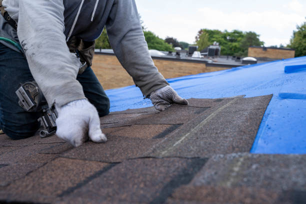 Best Storm Damage Roof Repair  in Plainville, KS
